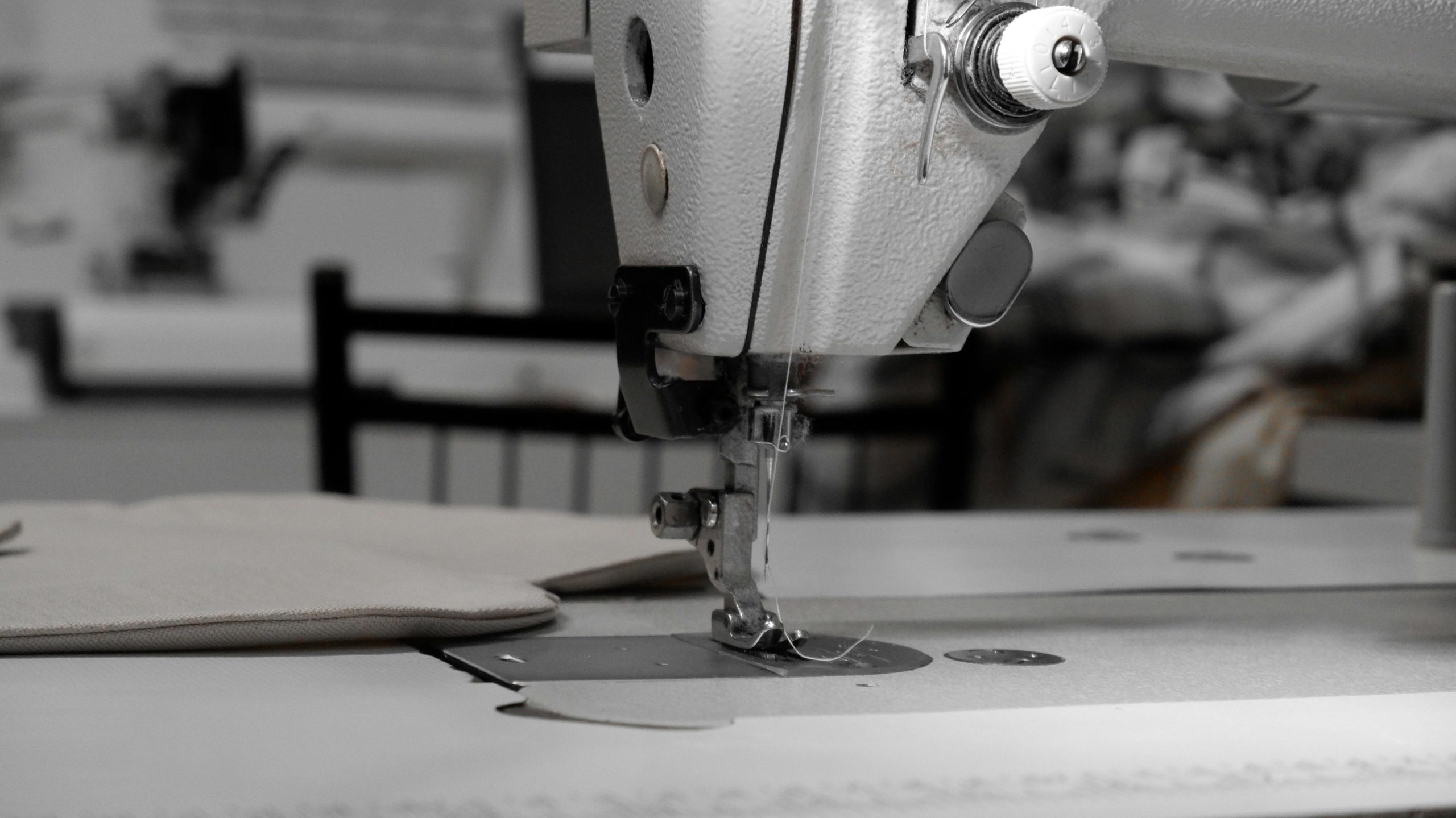 pexels-photo-16544025