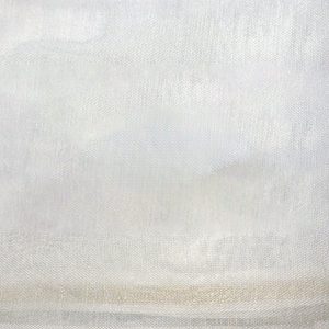 Rooie Silk Jari Border